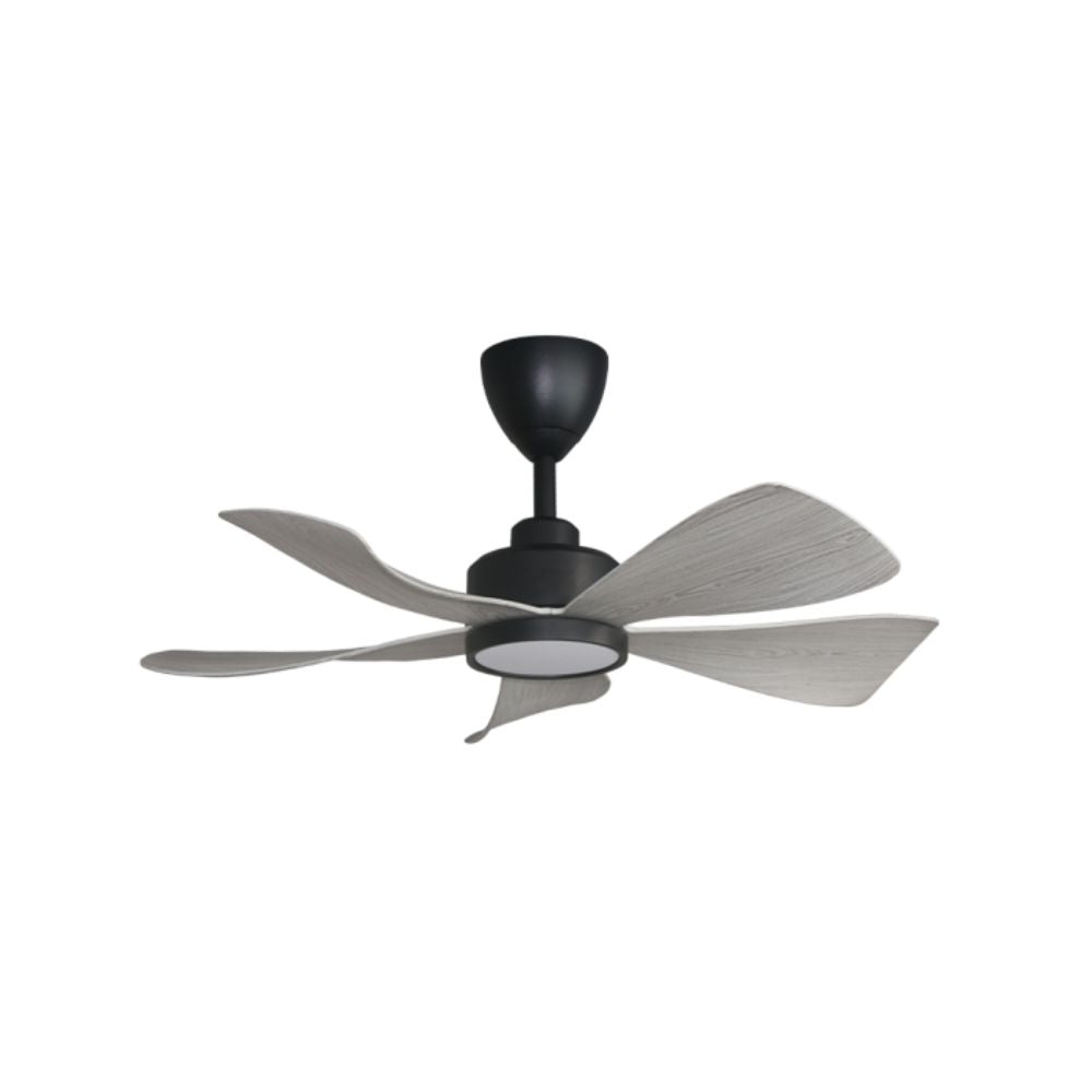 ALPHA HANI-5B 36" LED Fan