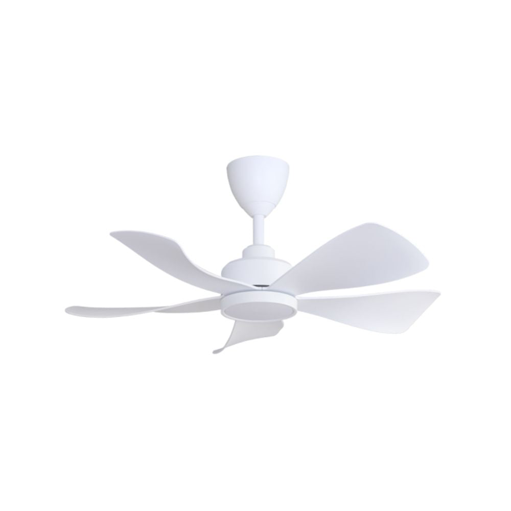 ALPHA HANI-5B 36" LED Fan